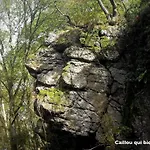 Green Lodges 度假居