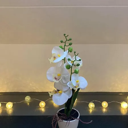 بيت للعطل Green Lodges Blaregnies