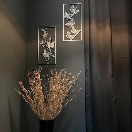 Green Lodges * Blaregnies