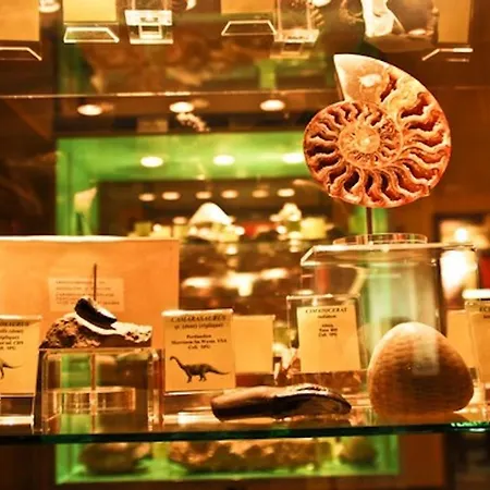 Green Lodges Blaregnies