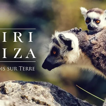 بيت للعطل Green Lodges