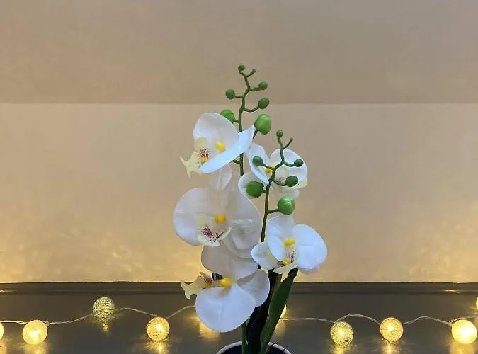 Σπίτι διακοπών Green Lodges Blaregnies