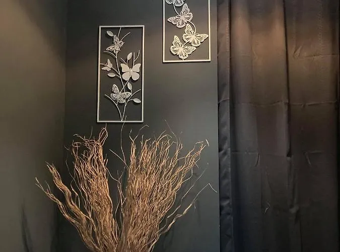 Green Lodges * Blaregnies